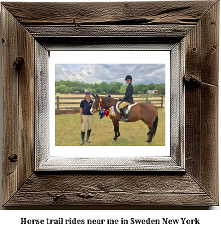 horse trail rides near me in Sweden, New York